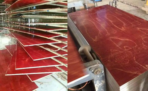 貴州10層施工用高中級建筑膠板