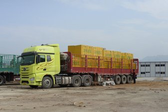 供應南寧建筑模板11層建筑膠合板