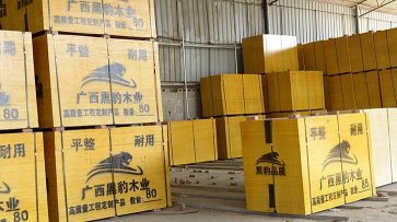 廣西建筑模板高性價比木模板